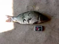 15092011149.jpg