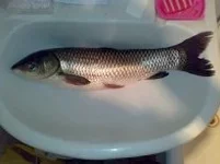 29082011140.webp