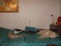 WITHOUT MEIMG_7674.webp