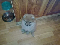 20111031_005.webp