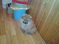 20111031_007.webp
