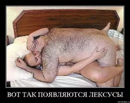 .webp