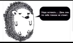 1c8b8d5a0f722e43b9461af1a5addd53.jpg
