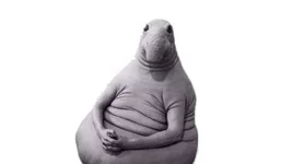 dh2dje.jpg