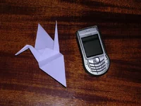 DSCN2947ф.webp