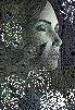 avat.webp