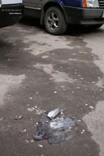 gravity copy.webp gravity copy.webp