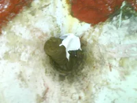 DSC00322.webp
