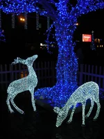 DSCN6311.webp