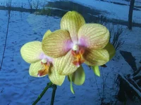 DSC00056.webp DSC00056.webp