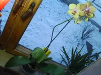 DSC00054.webp DSC00054.webp