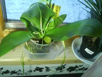 DSC00052.webp DSC00052.webp