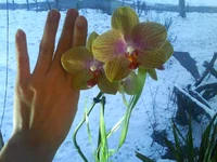 DSC00050.webp DSC00050.webp