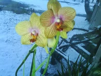 DSC00048.webp DSC00048.webp