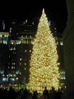 uscms-tree.jpg