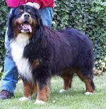 Maks v.Raukespartus.webp