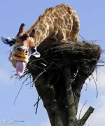 profilepic26761_1.webp