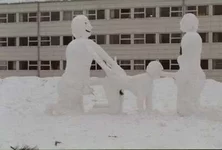97.jpg