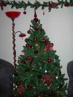 DSCN2883m.webp