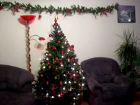 DSCN2888m.webp