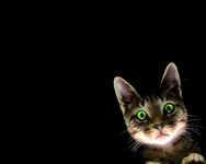 grean_eyes_cat_1280.png