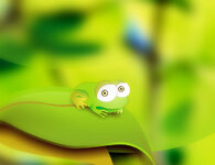 frog_wm-web.org копия.jpg