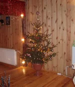  004.webp