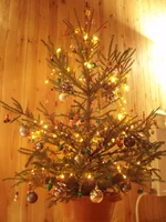  008.webp