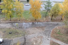 PAP_4467a.webp