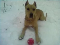04032011059.webp