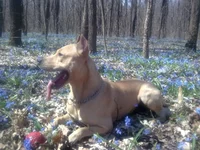 23042011048.webp