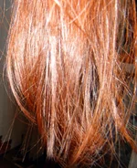 P8245363.webp