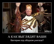 1305622952_023_2.webp
