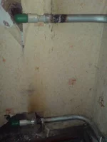 DSC00706.webp