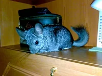 Копия 16082011212.jpg