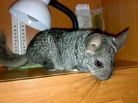 Копия 16082011213.jpg