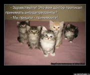 x_5e6280e4.webp