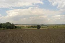 21.webp