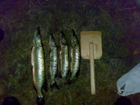 02112011179.webp