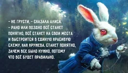 gb8hhc.webp