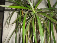 IMG_3182.webp