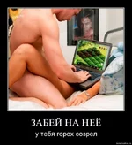0bpg2gtdf4k5.webp