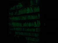 DSC00771.webp