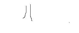 .webp