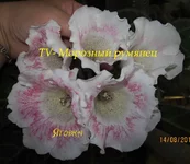 IMG_0412 копи.webp