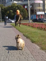 0036_001.webp