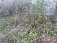 DSC01193.webp