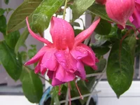 PA020029 - копия.webp