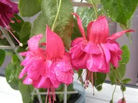 PA020030 - копия.webp