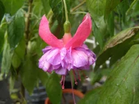 PA020036 - копия.webp